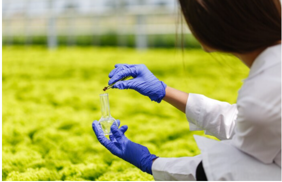 The Future of Farming: How Nanotechnology for Agriculture Supports Higher Productivity with Less Waste