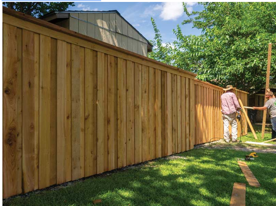 How to Choose the Best Fencing Option for Your Needs